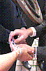 DSCN5866.JPG DSCN5866.JPG