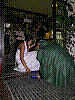 DSCN5894.JPG DSCN5894.JPG