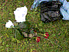 DSCN4567.JPG DSCN4567.JPG