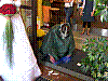 DSCN4576.JPG DSCN4576.JPG