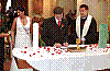 IMG252.jpg IMG252.jpg