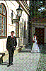 IMG527.jpg IMG527.jpg