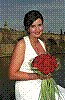 IMG532.jpg IMG532.jpg