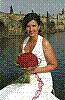 IMG533.jpg IMG533.jpg