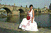 IMG534.jpg IMG534.jpg