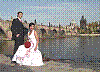 IMG536.jpg IMG536.jpg