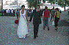 IMG601.jpg IMG601.jpg