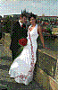 IMG619.jpg IMG619.jpg