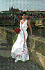 IMG620.jpg IMG620.jpg