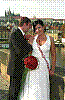 IMG622.jpg IMG622.jpg