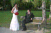 IMG704.jpg IMG704.jpg