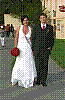 IMG705.jpg IMG705.jpg
